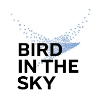 Bird in the sky