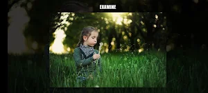 Picture Puzzle LF Screenshot 3