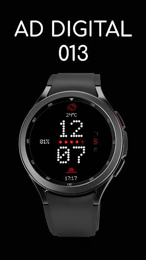 AD Digital 013 Screenshot 0