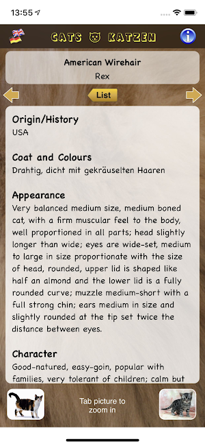 EuroCats Screenshot 1