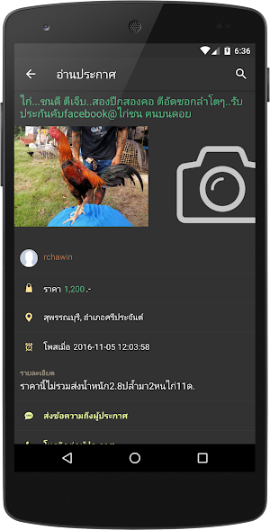 Gamecocks Screenshot 3