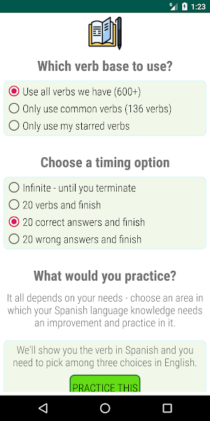 Spanish Verbs and Grammar Screenshot 3