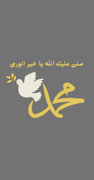صلى عليك الله ياخير الورى Screenshot 2