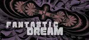 Fantastic Dream Screenshot 0