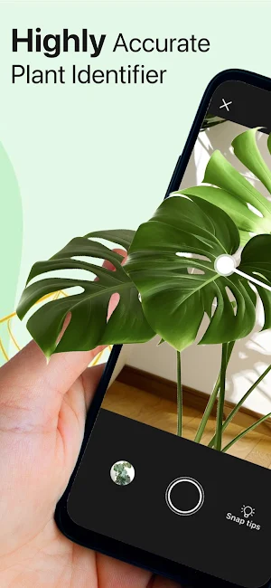 AI Plant Identifier App Screenshot 0
