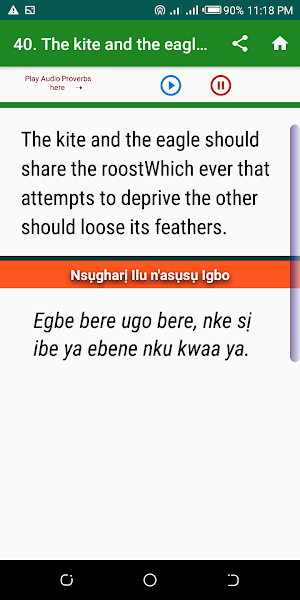 Igbo Proverbs (Ilu Igbo) with Audio screenshot 5