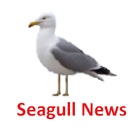 Seagull News