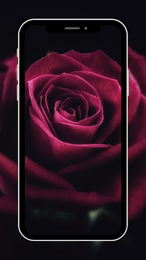 Flower Wallpaper Screenshot 3