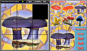 Magic Slide Puzzle Mushrooms 2 Screenshot 3