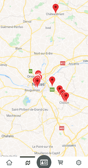 Pass Nantes Screenshot 2