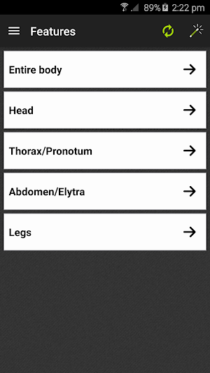 Hawaiian Scarab ID Screenshot 2