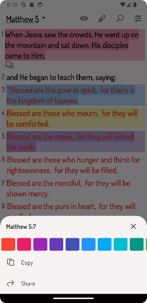 Berean Study Bible Offline Screenshot 2
