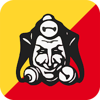 Fasnacht Biel