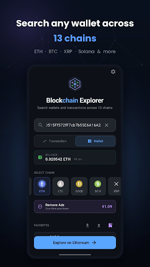 Blockchain Explorer Screenshot 0