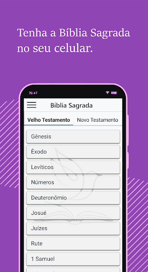 Bíblia Sagrada Screenshot 0