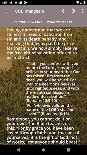 CCBirmingham Screenshot 2