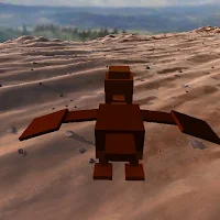 Desert Bird Flying Game