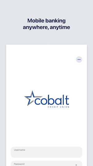 Cobalt Mobile Banking Screenshot 0