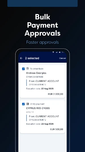 HB (Eurobank) Business Screenshot 3