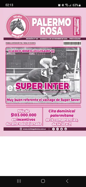 Revista Palermo Digital Screenshot 3