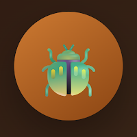 Hercules Master: Beetle Quiz