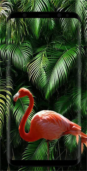 Tropical wallpapers Screenshot 1