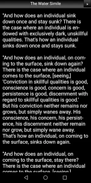The Water Simile Sutta Screenshot 2