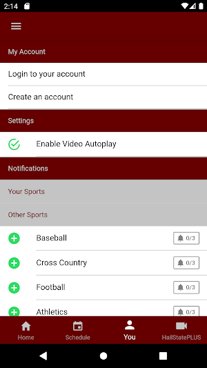 Hail State Screenshot 2