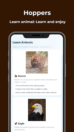 Hoppers - Animal Explorer Screenshot 3