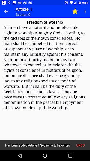 Texas Constitution Screenshot 2