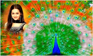 Beautiful Peacock Photoframes Screenshot 2