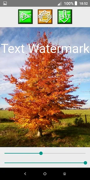Text WaterMark Screenshot 2