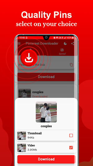 Video Downloader for Pinterest Screenshot 2