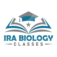 Ira' s classes