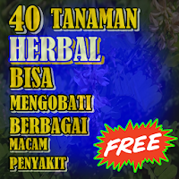 Tanaman Herbal Yang Bisa Mengobati Segala Penyakit
