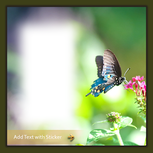 Butterfly  Photo Frame Editor Screenshot 2