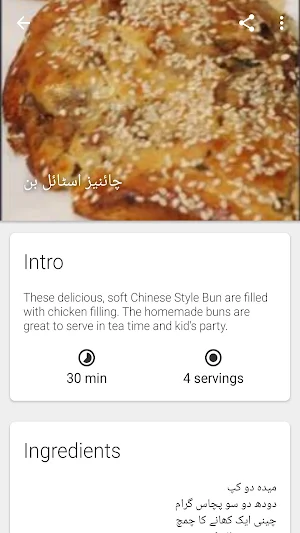 Fast Food Recipes in Urdu Screenshot 1