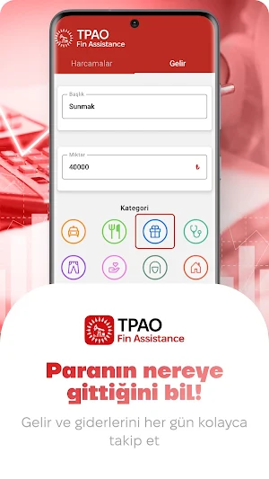 TPAO fin assistance Screenshot 0