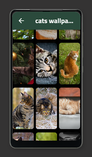 cats wallpaper Screenshot 1