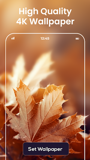 Video wallpaper live maker Screenshot 2