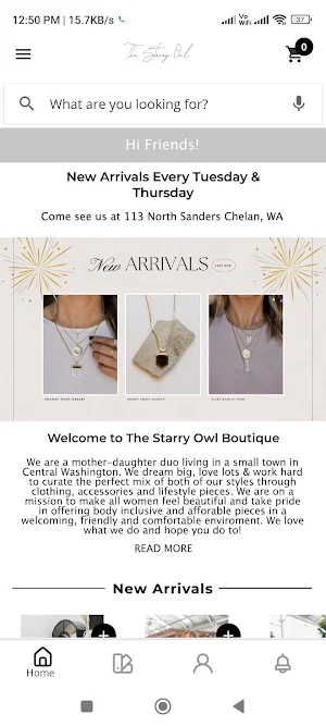 The Starry Owl Screenshot 3