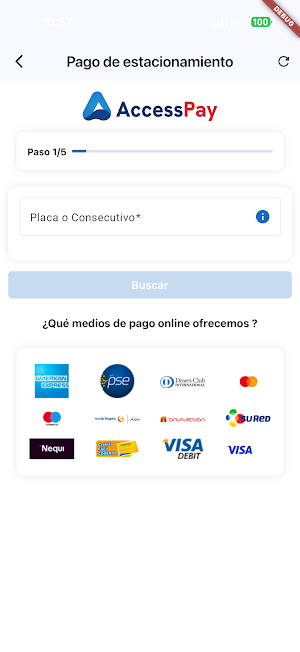 AccessPay Screenshot 0