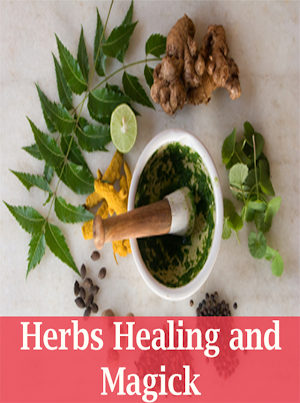 Herbs healing and magic Screenshot 0