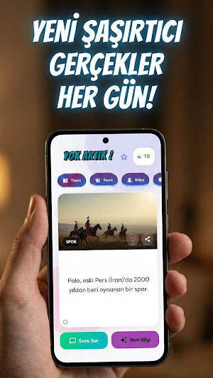 Yok Artık! Screenshot 0