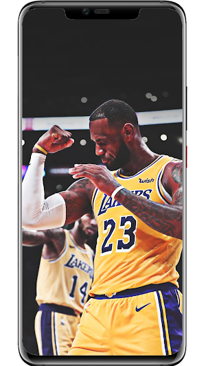LeBron James Wallpapers Screenshot 1