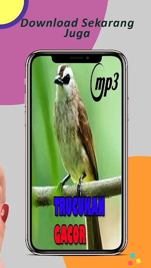 Pancingan Trucukan Gacor Screenshot 3