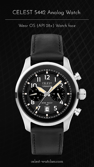 CELEST5442 Analog Watch Screenshot 2