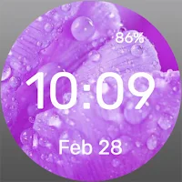 Wet Rosehip - Watch Face