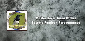 Master KacerJuara Offline Screenshot 0