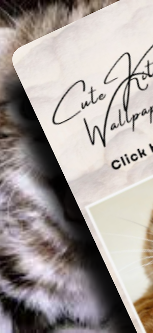 Cute Kittens Wallpaper HD/4k Screenshot 0